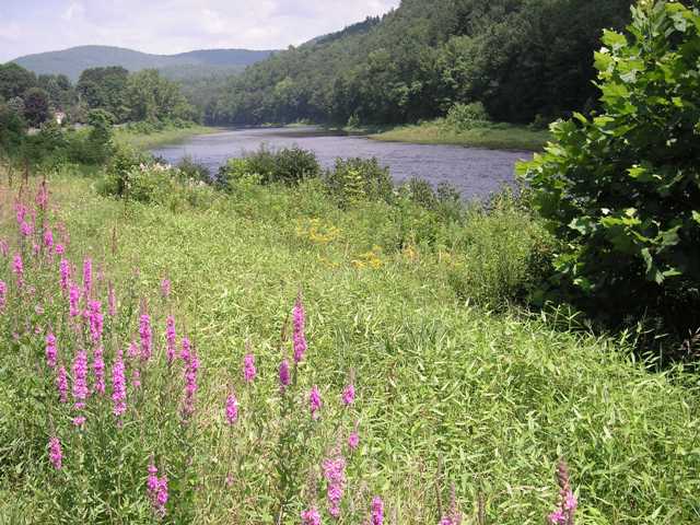 West River 16Jul06